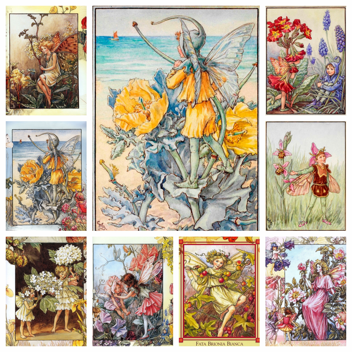 Cicely Mary Barker Artwork Flo - đánh giá và giá Photo Mosaic Print