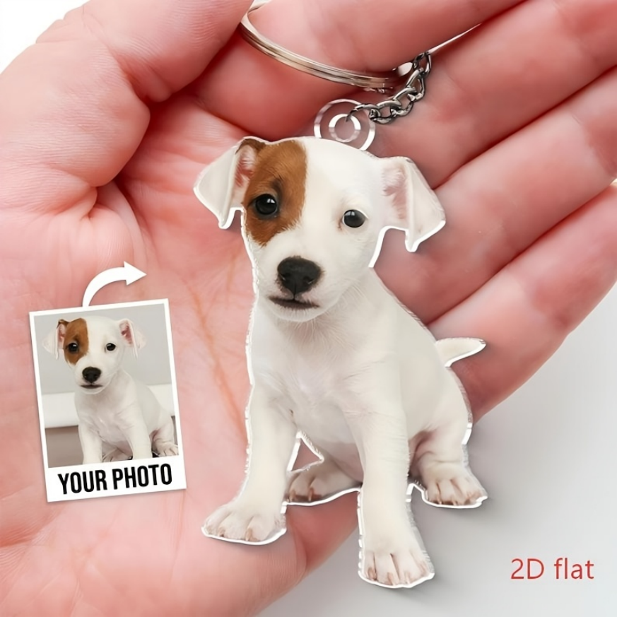 Personalized Custom Acrylic Ke - đánh giá và giá Pet Portrait Custom